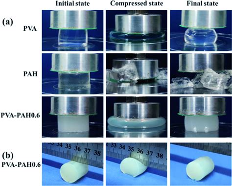 common ways hydrogels are tested in compression|elasticity of hydrogels.